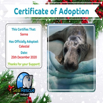 Celestial Adoption Cert.jpg